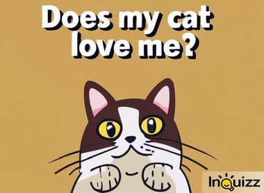 does